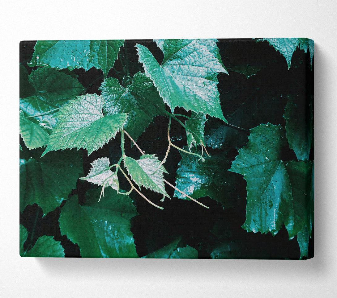  A Canvas Print of Emerald Green Vines Canvas Wall Art