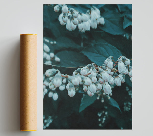 Teal Whispers Of Spring Poster