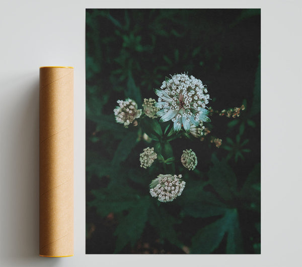 Emerald Bloom Whisper Print