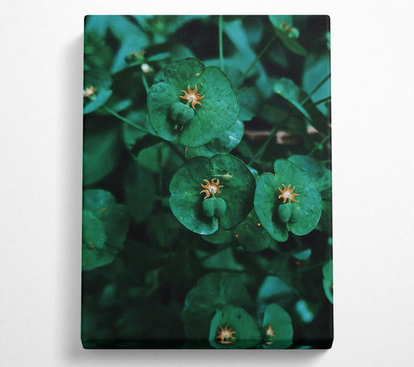  A Canvas Print of Emerald Green Blooms Canvas Art