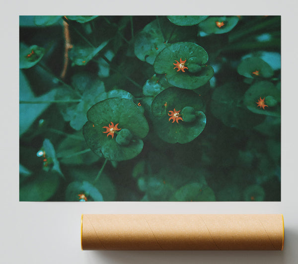 Emerald Blooms Of Summer Print