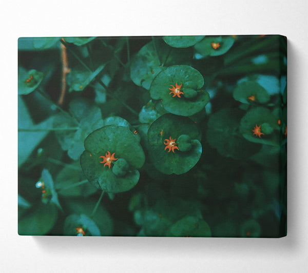  A Canvas Print of Emerald Blooms Of Summer Canvas Wall Art