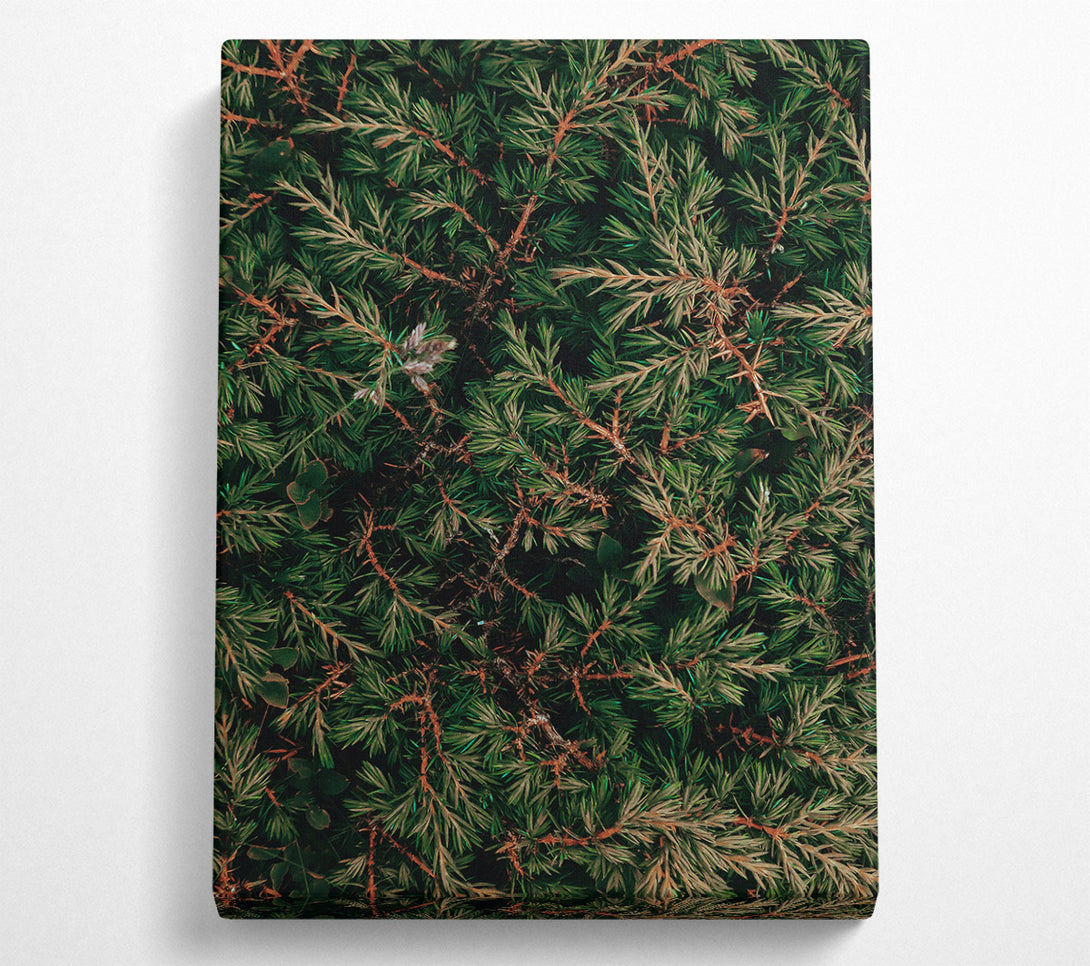  A Canvas Print of Emerald Green Branches Canvas Print