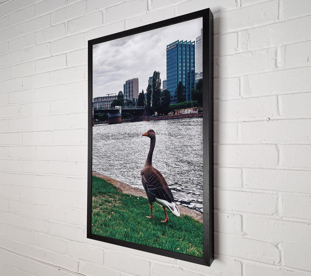  A Canvas Print of Blue Goose By The River Canvas Wall Art