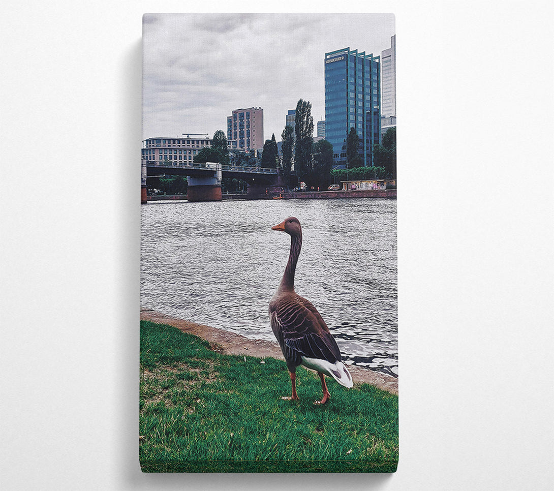  A Canvas Print of Blue Goose By The River Canvas Wall Art