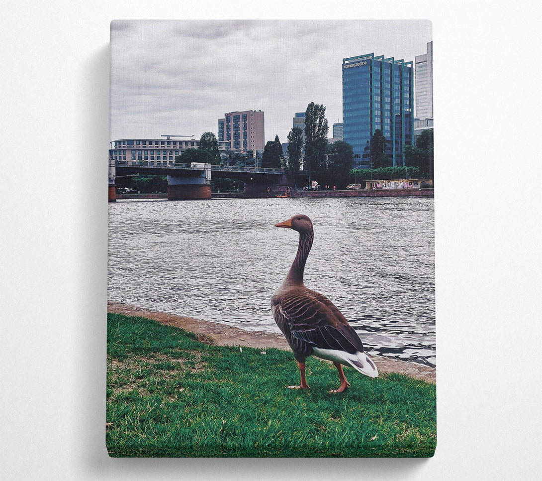  A Canvas Print of Blue Goose By The River Canvas Wall Art