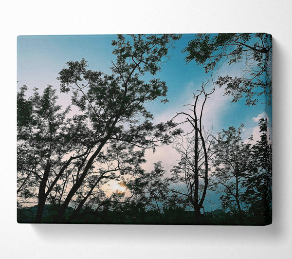  A Canvas Print of Azure Twilight Silhouettes Canvas Art