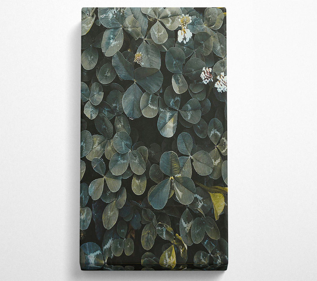  A Canvas Print of Emerald Green Clover Field Canvas Wall Art