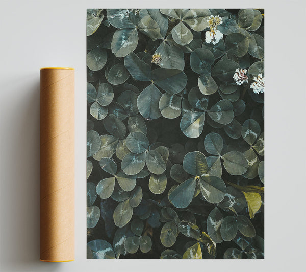 Emerald Green Clover Field Print