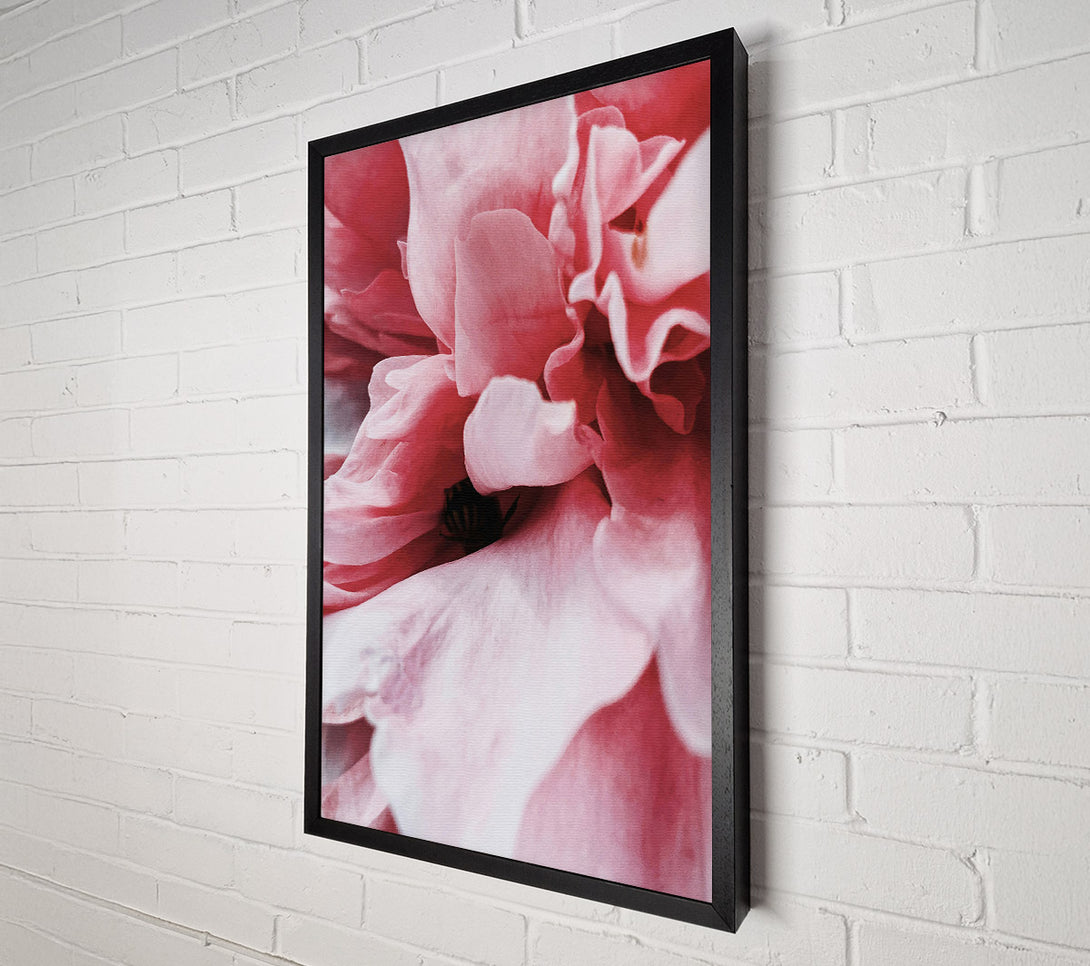  A Canvas Print of Crimson Petal Embrace Canvas Art
