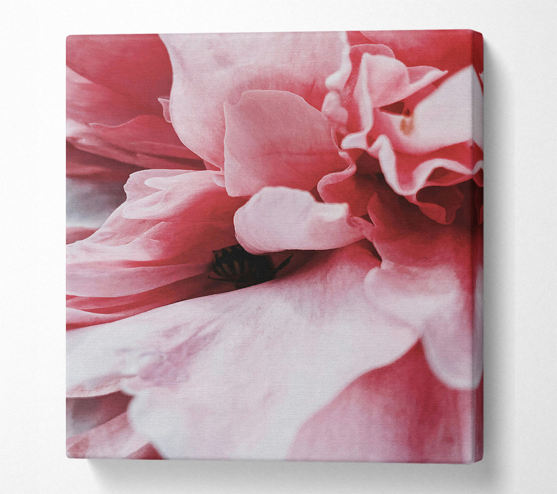  A Canvas Print of Crimson Petal Embrace Canvas Art