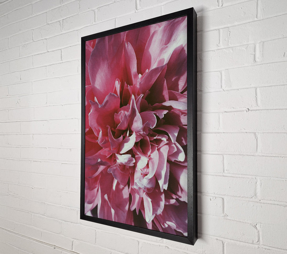  A Canvas Print of Rose Petal Embrace Canvas Wall Art