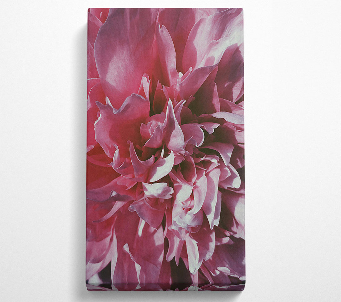  A Canvas Print of Rose Petal Embrace Canvas Wall Art