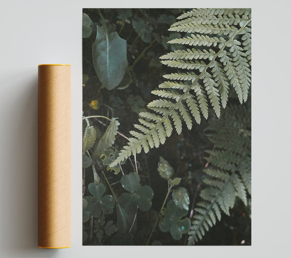 Silver Green Fern Fronds Giclee Print