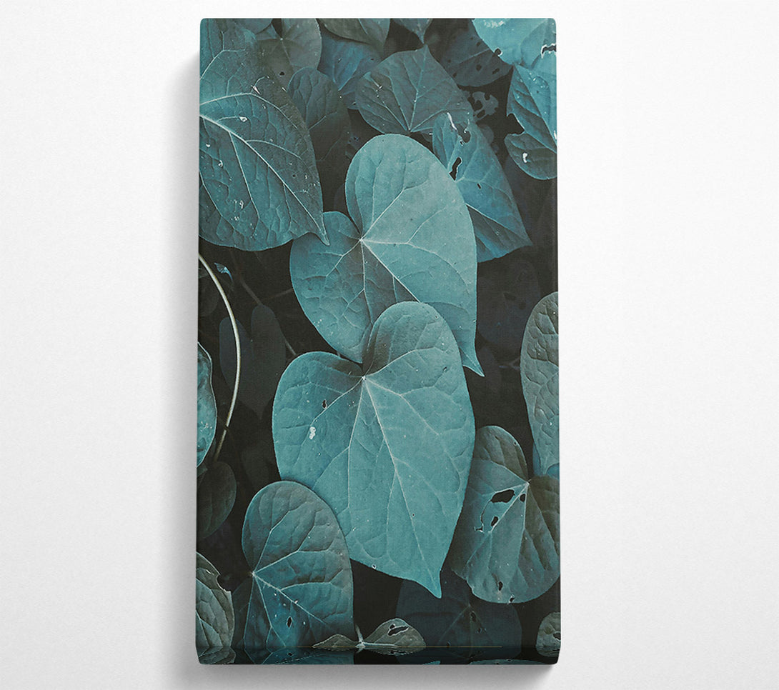  A Canvas Print of Teal Leaf Embrace Canvas Art