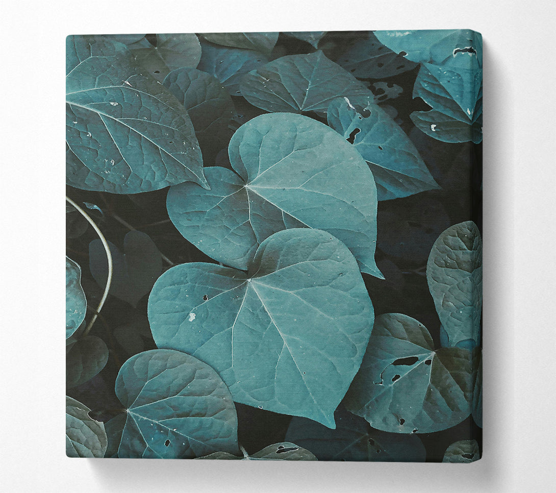  A Canvas Print of Teal Leaf Embrace Canvas Art