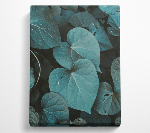  A Canvas Print of Teal Leaf Embrace Canvas Art