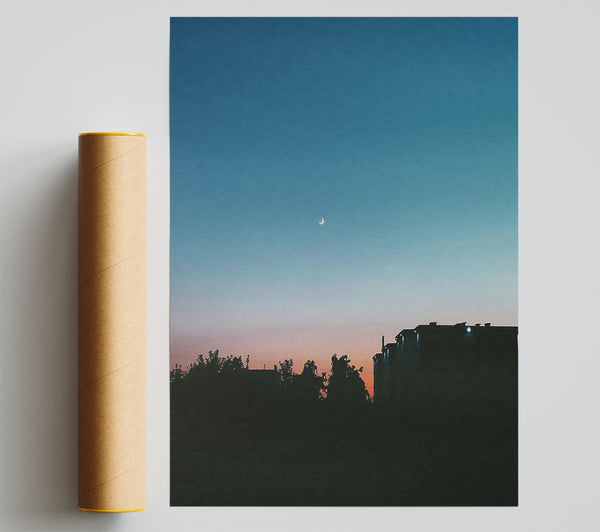 Pink And Blue Crescent Print