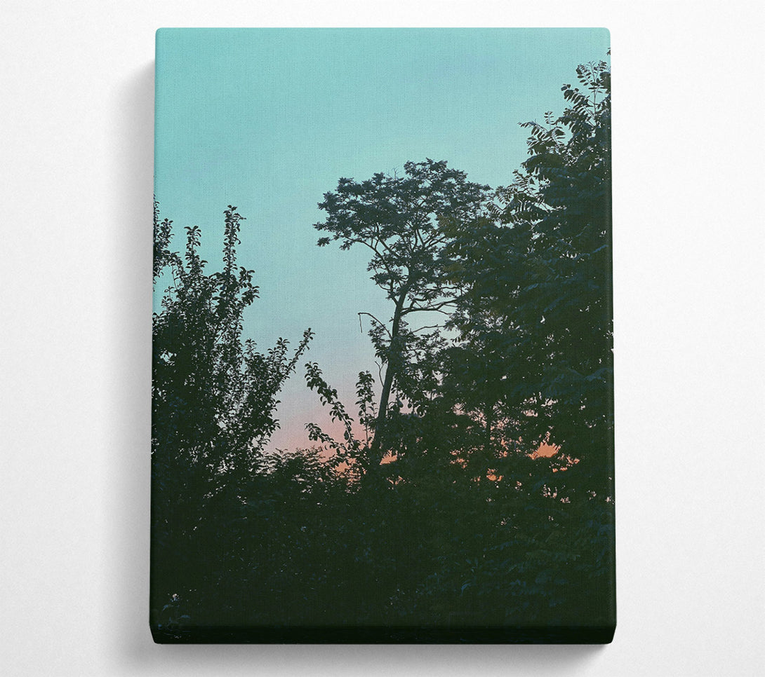  A Canvas Print of Pink Sky Silhouette Canvas Print