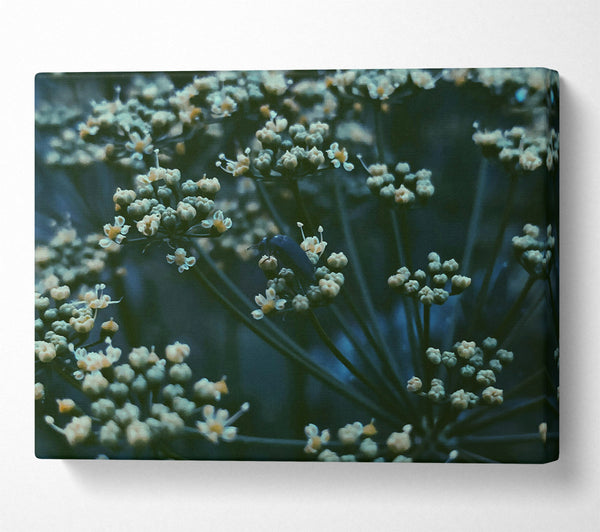  A Canvas Print of Teal Flower Bloom Canvas Wall Art