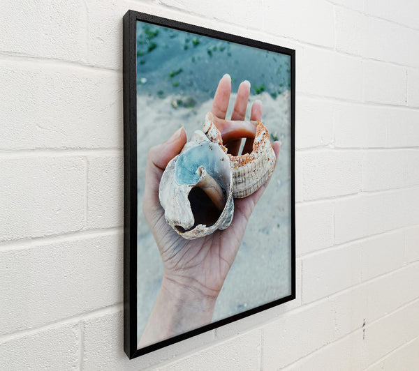 Blue Seashell Treasure