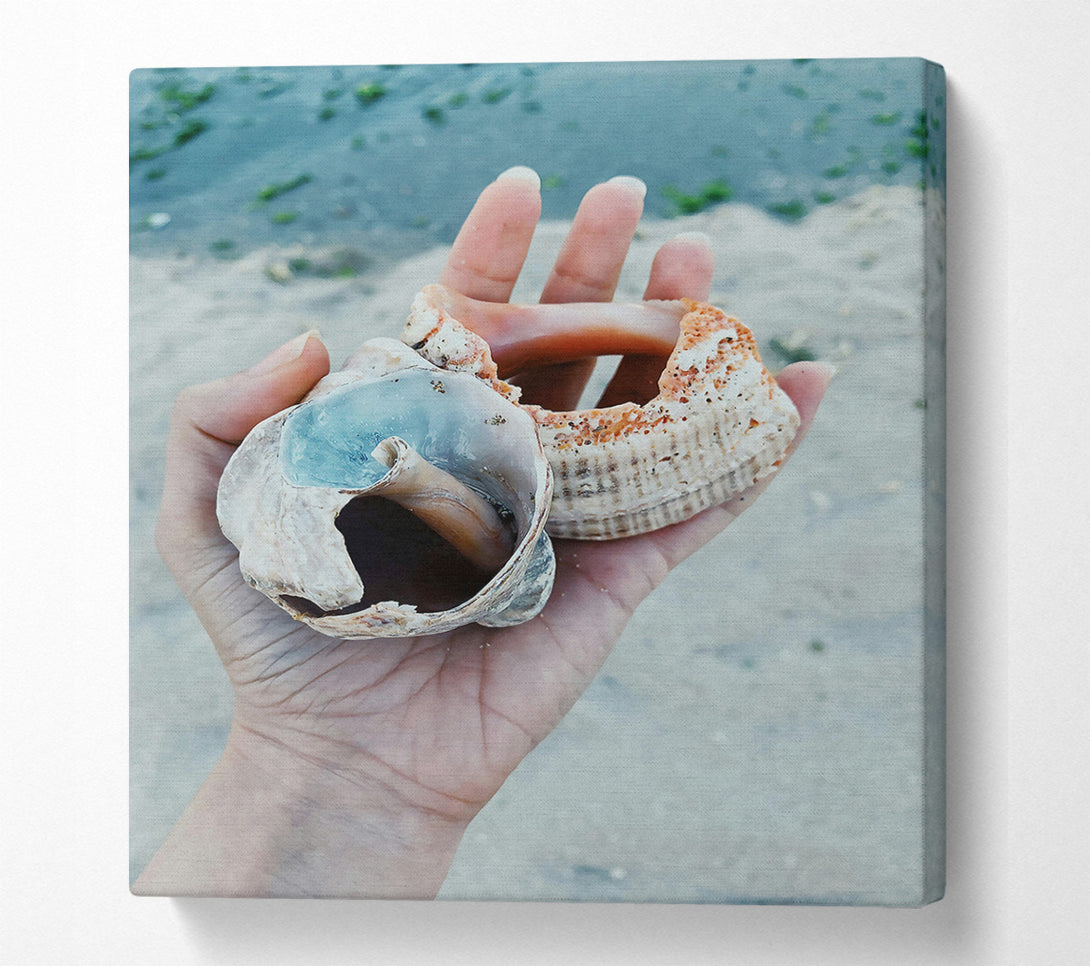  A Canvas Print of Blue Seashell Treasure Canvas Art