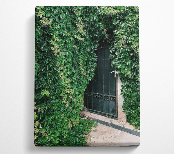  A Canvas Print of Green Doorway Mystery Canvas Print