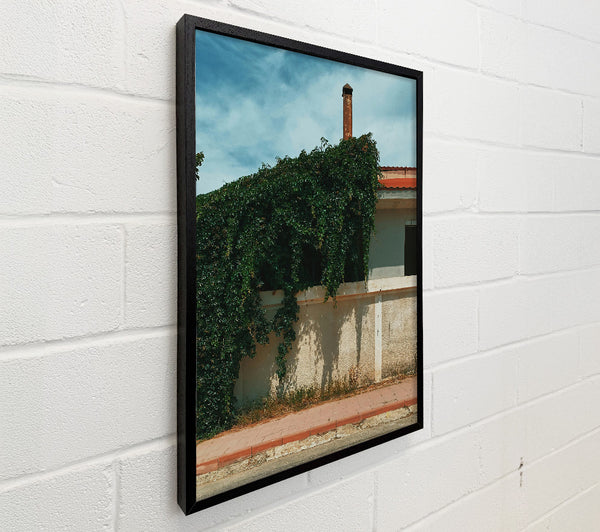 Green Wall And Rust