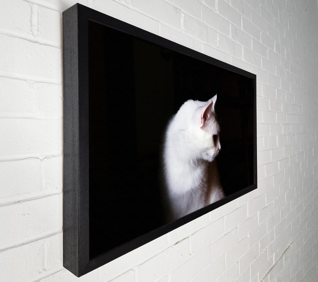  A Canvas Print of White Shadow In The Dark Canvas Wall Art