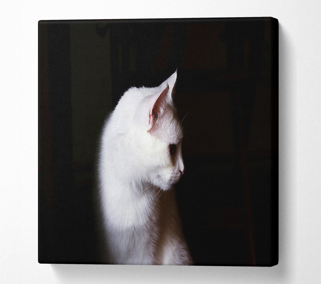  A Canvas Print of White Shadow In The Dark Canvas Wall Art
