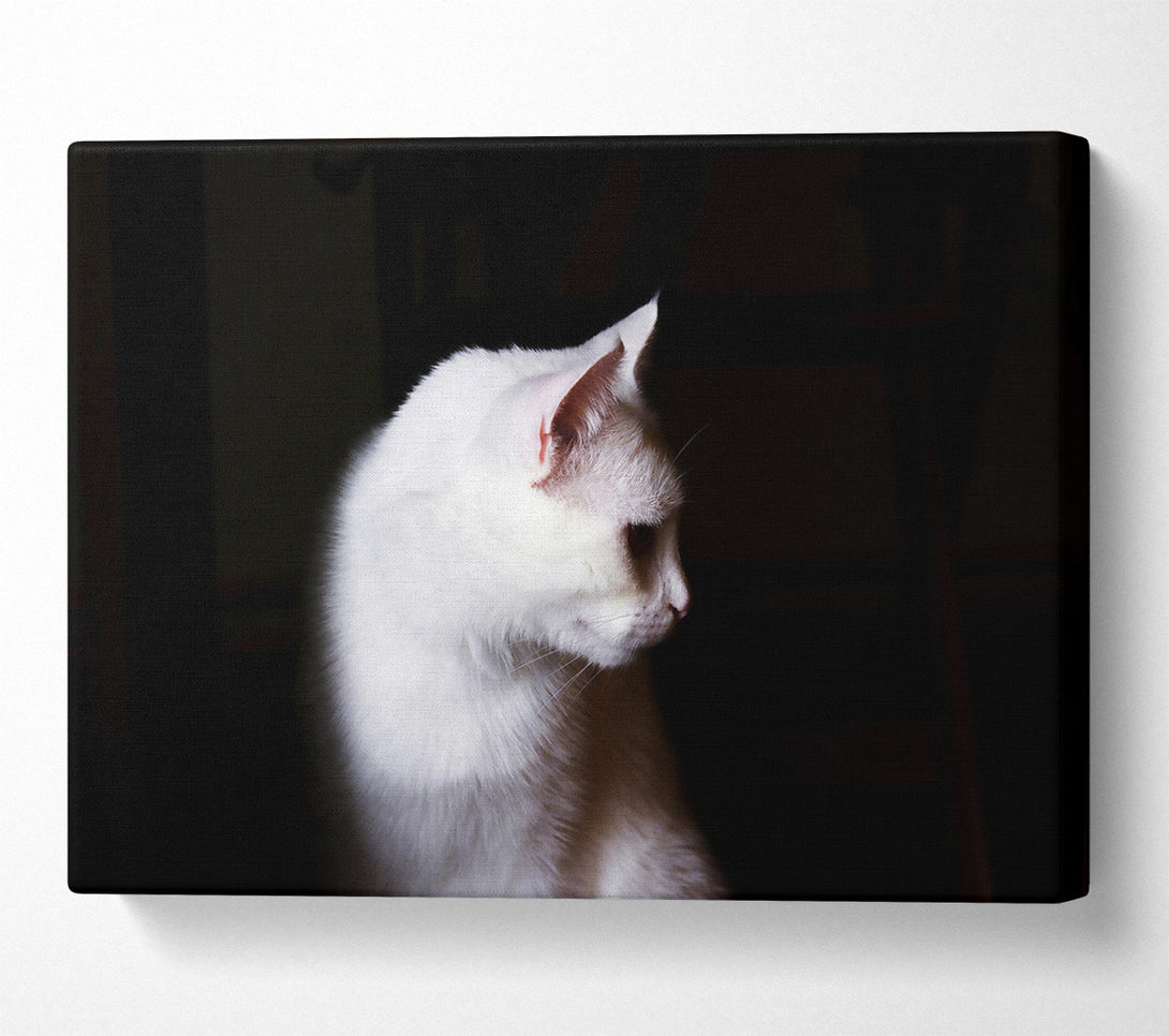  A Canvas Print of White Shadow In The Dark Canvas Wall Art