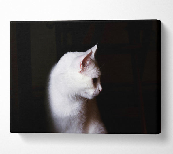  A Canvas Print of White Shadow In The Dark Canvas Wall Art