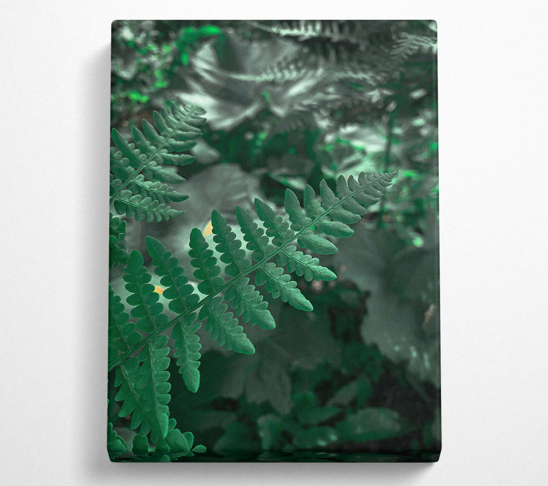  A Canvas Print of Emerald Fern Frond Canvas Wall Art