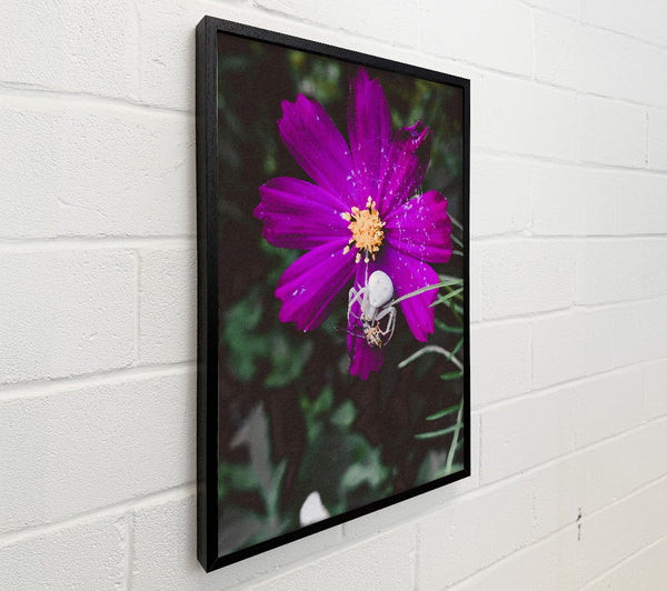 Purple Flower Ambush