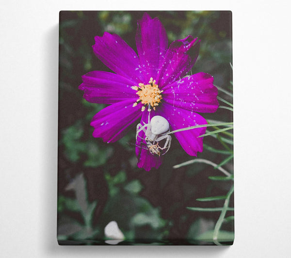 Purple Flower Ambush