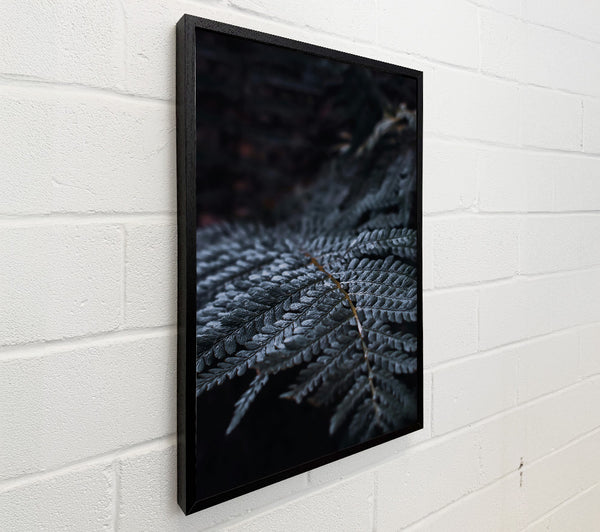 Dark Green Fern Frond