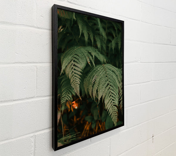 Emerald Green Ferns