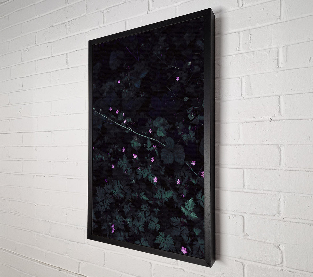  A Canvas Print of Pink Blooms In Shadow Canvas Art