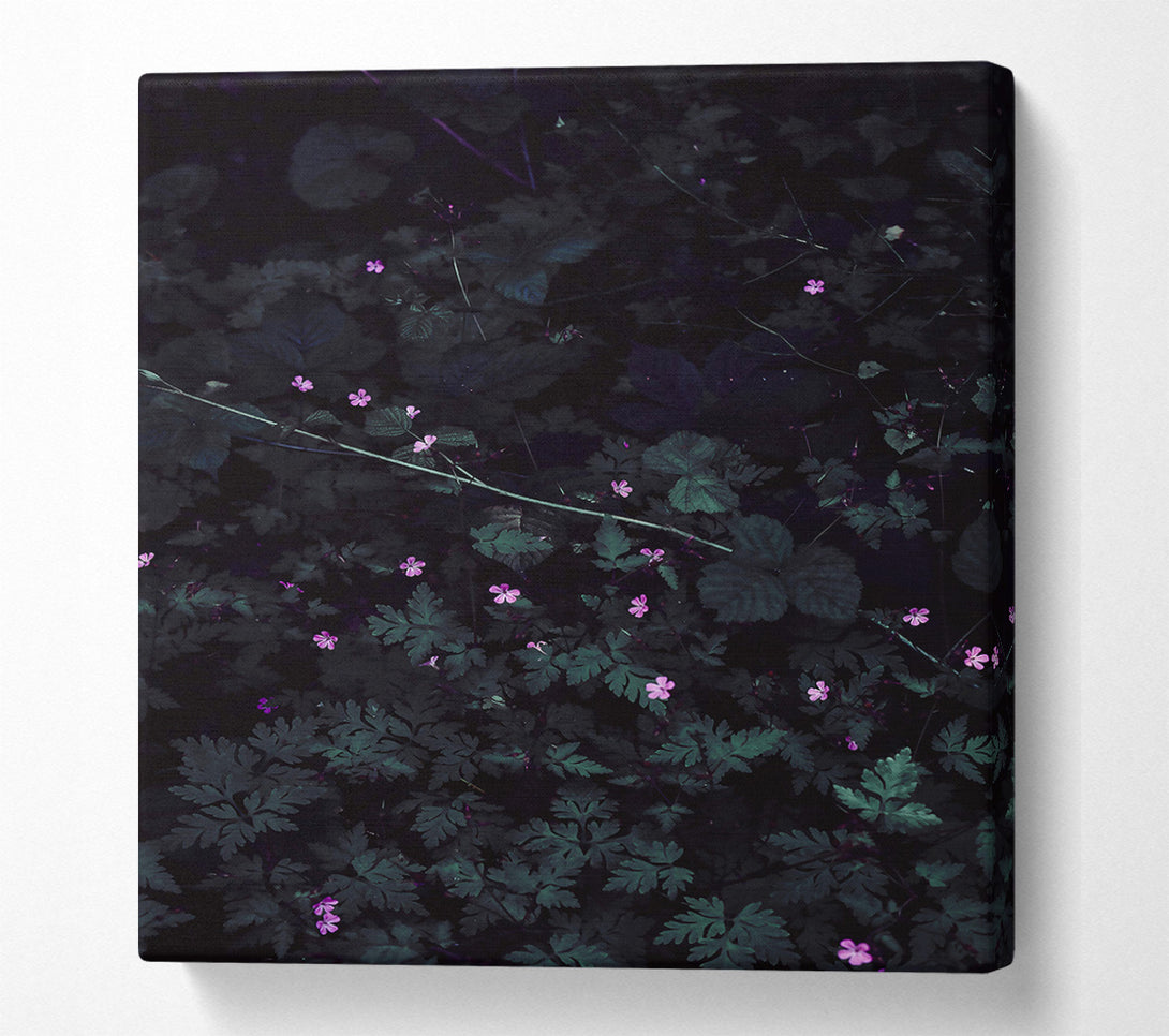 A Canvas Print of Pink Blooms In Shadow Canvas Art
