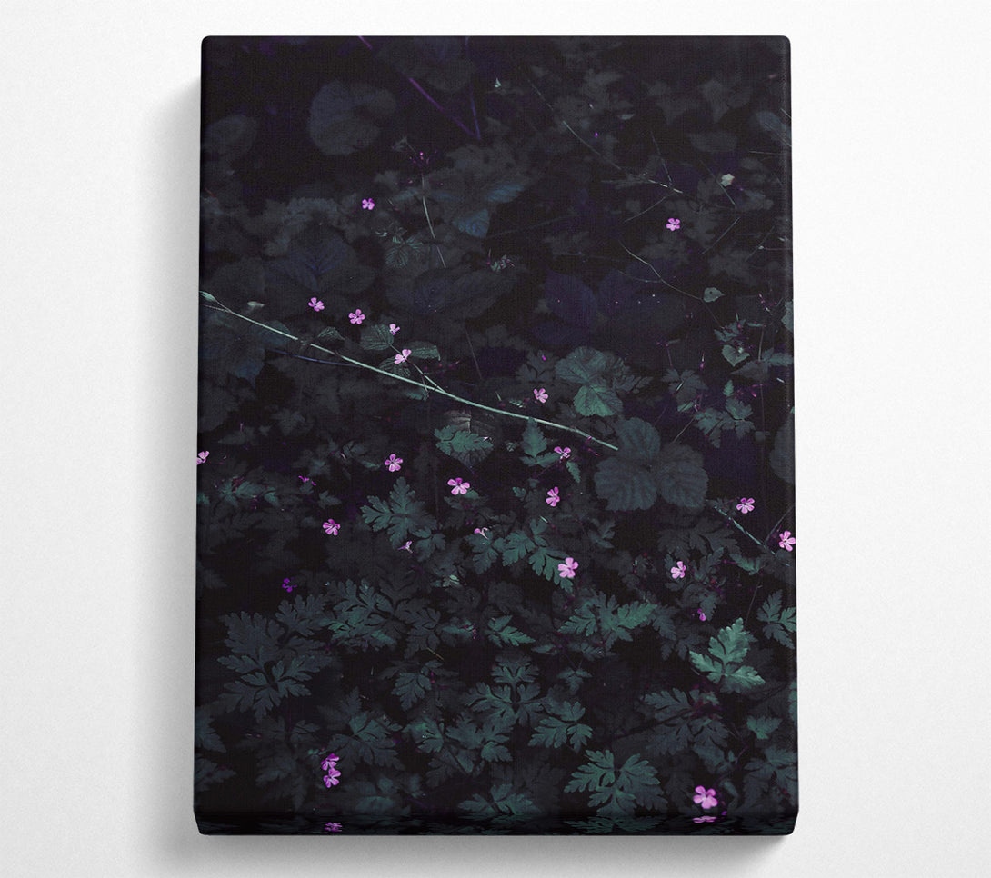  A Canvas Print of Pink Blooms In Shadow Canvas Art