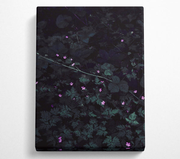  A Canvas Print of Pink Blooms In Shadow Canvas Art