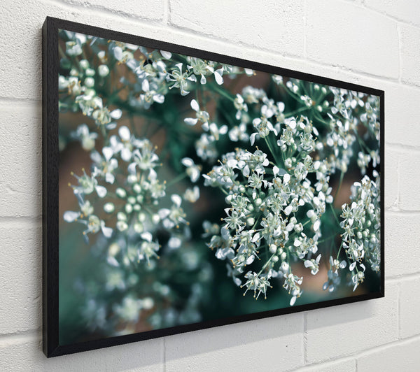 Teal Bloom Symphony