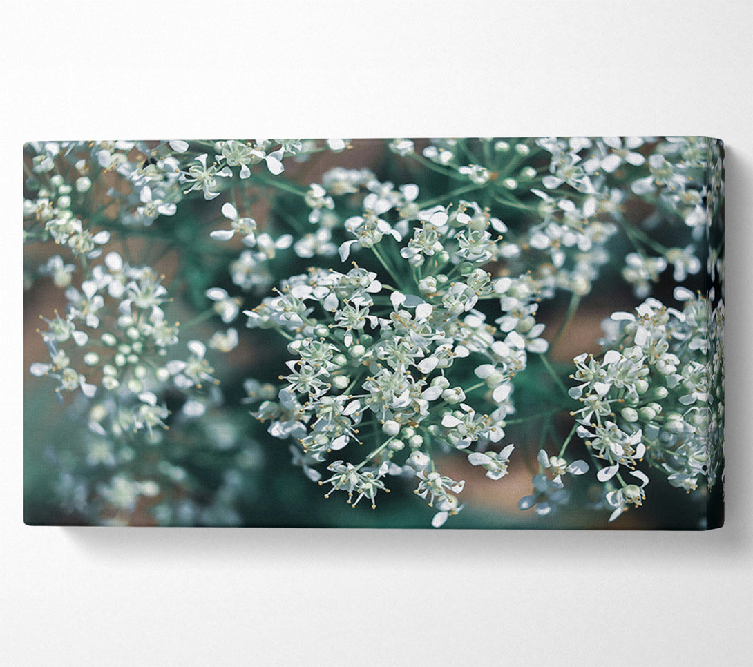  A Canvas Print of Teal Bloom Symphony Canvas Print