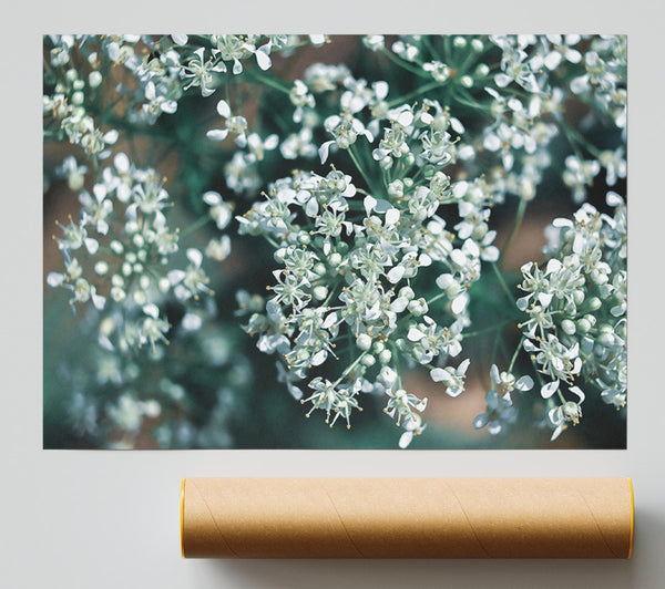 Teal Bloom Symphony Poster
