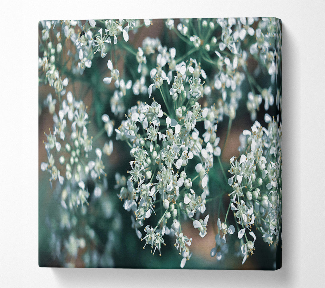  A Canvas Print of Teal Bloom Symphony Canvas Print