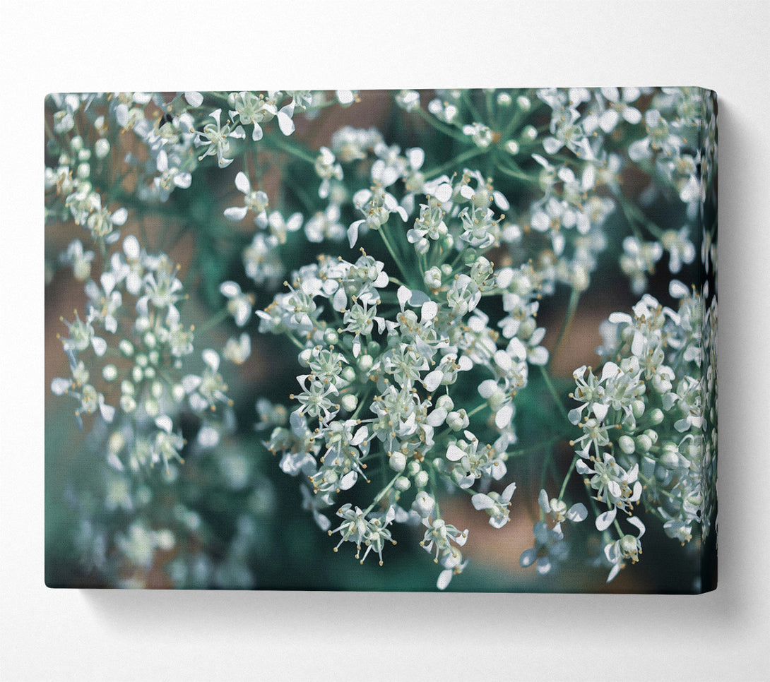 A Canvas Print of Teal Bloom Symphony Canvas Print