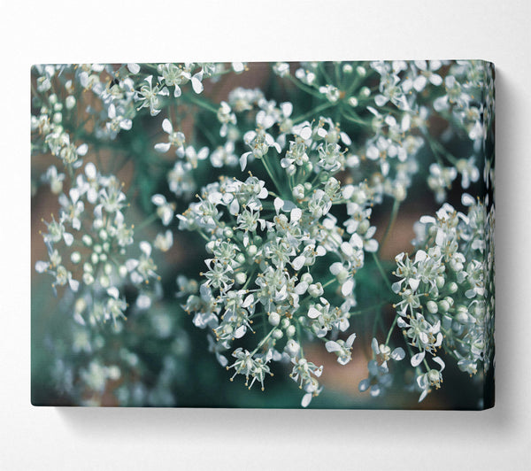  A Canvas Print of Teal Bloom Symphony Canvas Print
