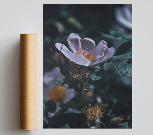 Pale Bloom In Green Poster