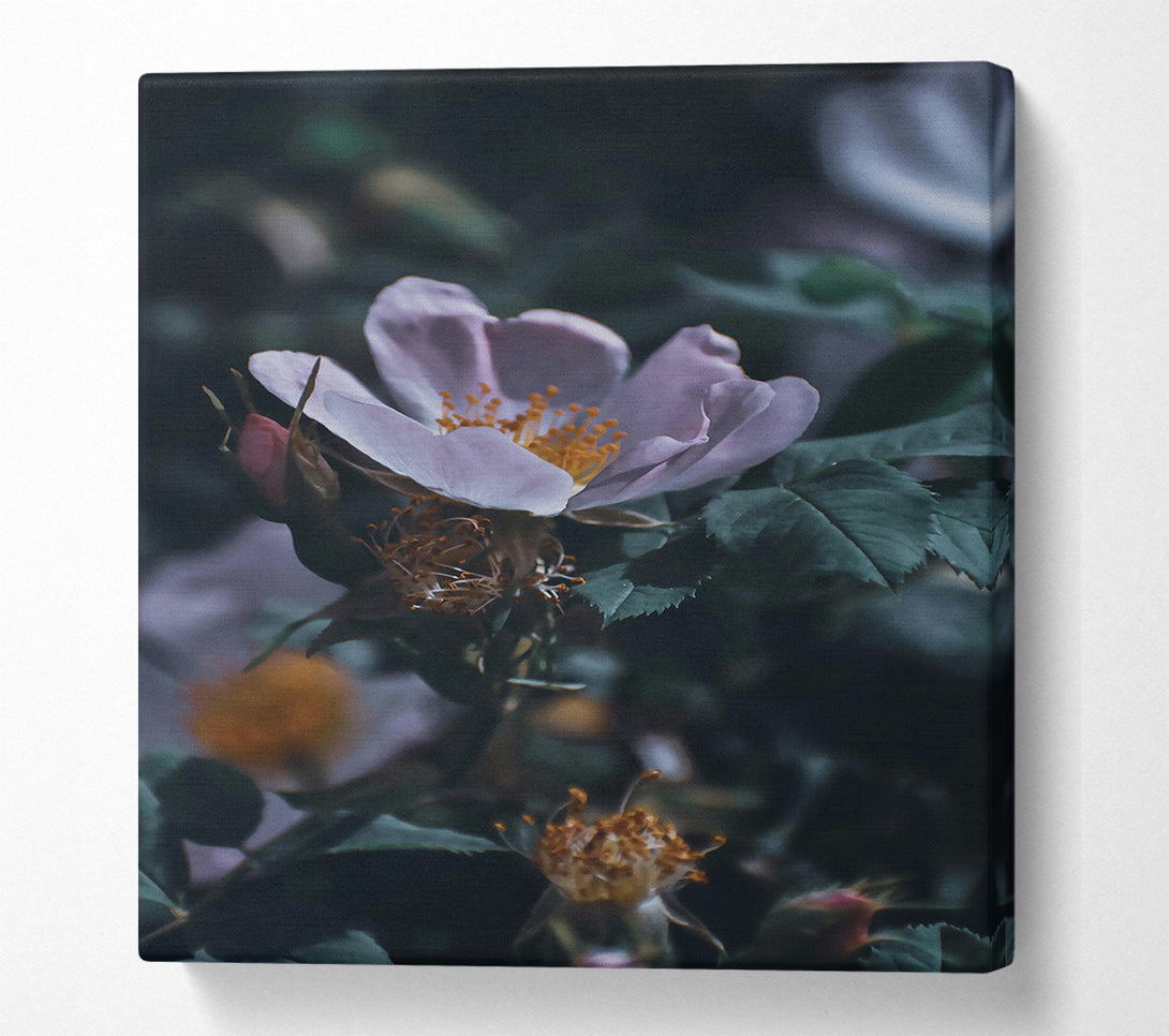  A Canvas Print of Pale Bloom In Green Canvas Art