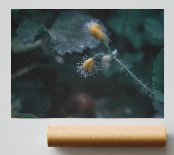 Green And Yellow Bloom Giclee Print